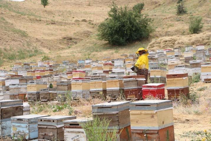 30 yıl önce küçük bir destekle yola çıktı, şimdi Türkiye’ye satıyor ‘Yorucu ama çok güzel’
