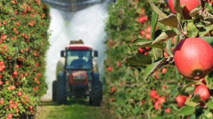 Pestisitin işlemediği sebze ve meyveler Kabuklarını soyunca iş tamam, zerre kalmıyor Pestisitin işlemediği sebze ve meyveler Kabuklarını soyunca iş tamam, zerre kalmıyor