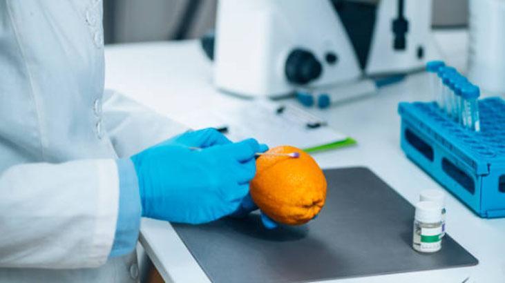 Pestisitin işlemediği sebze ve meyveler Kabuklarını soyunca iş tamam, zerre kalmıyor Pestisitin işlemediği sebze ve meyveler Kabuklarını soyunca iş tamam, zerre kalmıyor