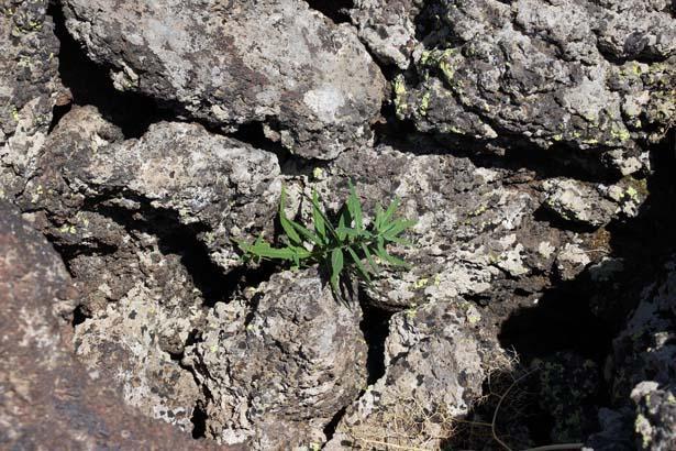 EN FAZLA YERLEŞİM BARINDIRAN MEKANLAR ARASINDA
