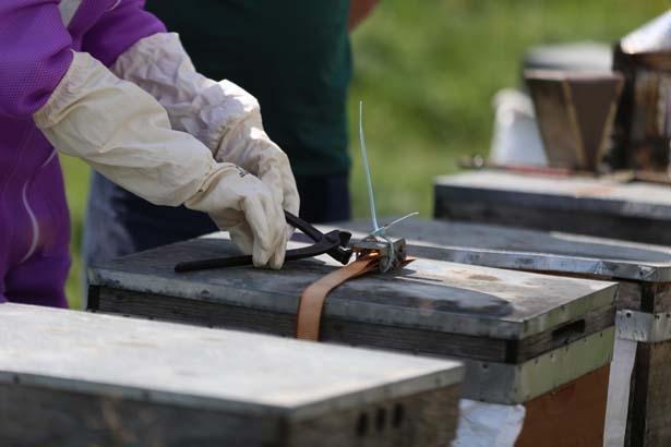 12 mühür tek tek açıldı: Burada kuş sütü bile var 12 mühür tek tek açıldı: Burada kuş sütü bile var