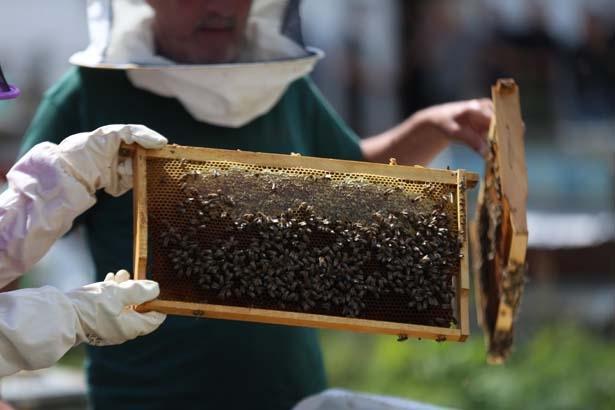 12 mühür tek tek açıldı: Burada kuş sütü bile var 12 mühür tek tek açıldı: Burada kuş sütü bile var