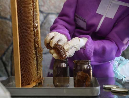 12 mühür tek tek açıldı: Burada kuş sütü bile var 12 mühür tek tek açıldı: Burada kuş sütü bile var