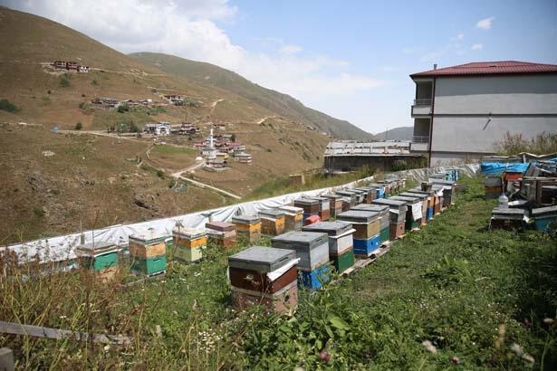 12 mühür tek tek açıldı: Burada kuş sütü bile var 12 mühür tek tek açıldı: Burada kuş sütü bile var