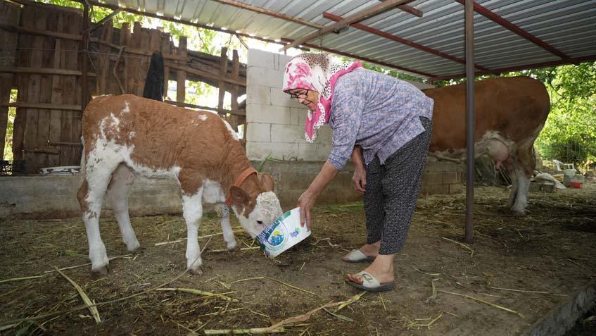 KAZANDIĞI PARA İLE TORUNUNU EVLENDİRECEK
