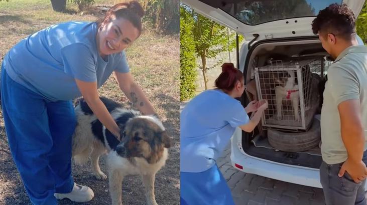Görüntüler yürekleri ısıttı Ceylan Ertemden alkışlanacak hareket
