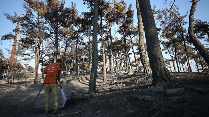 Çanakkalede yanan alanlar ve evler görüntülendi Çanakkalede yanan alanlar ve evler görüntülendi