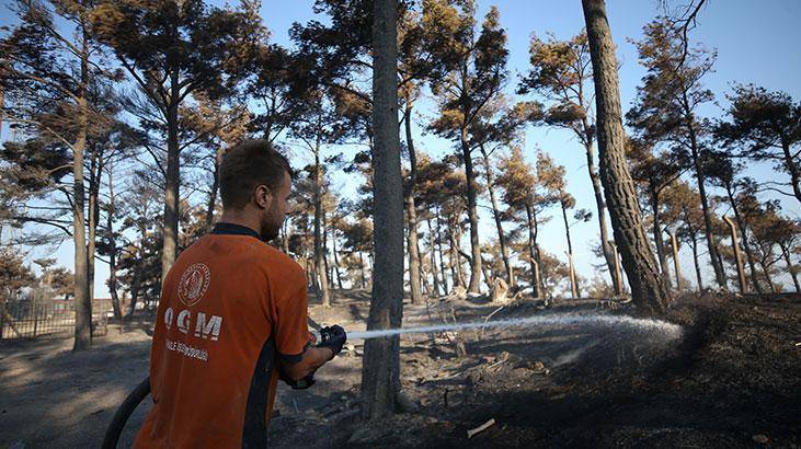 Çanakkalede yanan alanlar ve evler görüntülendi Çanakkalede yanan alanlar ve evler görüntülendi