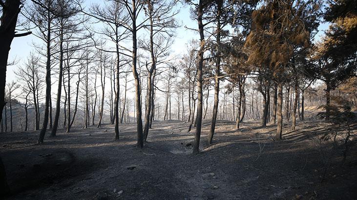 Çanakkalede yanan alanlar ve evler görüntülendi Çanakkalede yanan alanlar ve evler görüntülendi