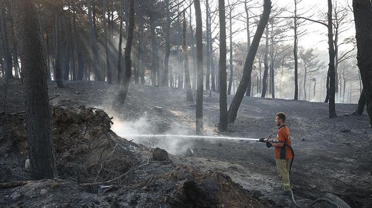 Çanakkalede yanan alanlar ve evler görüntülendi Çanakkalede yanan alanlar ve evler görüntülendi