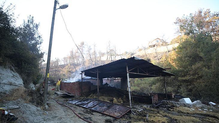 Çanakkalede yanan alanlar ve evler görüntülendi Çanakkalede yanan alanlar ve evler görüntülendi
