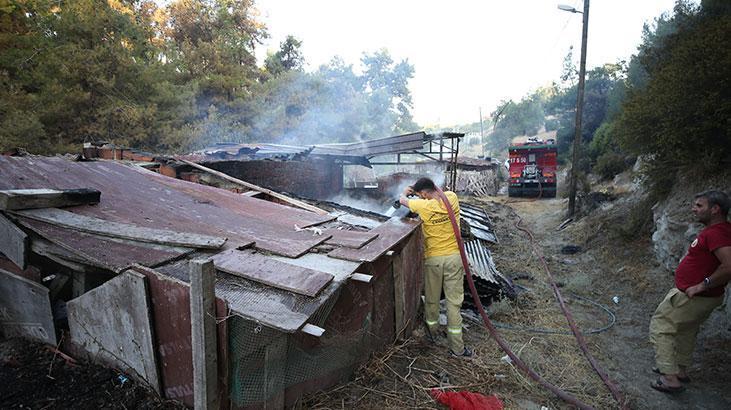 Çanakkalede yanan alanlar ve evler görüntülendi Çanakkalede yanan alanlar ve evler görüntülendi