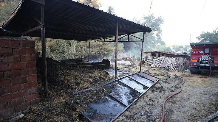 Çanakkalede yanan alanlar ve evler görüntülendi Çanakkalede yanan alanlar ve evler görüntülendi