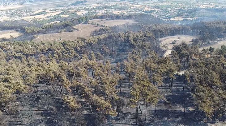 Sarıcaelide zarar gören alanlar dronla görüntülendi