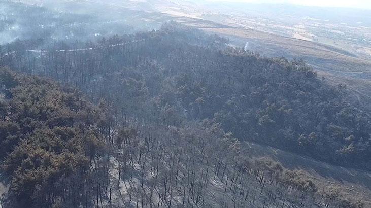 Sarıcaelide zarar gören alanlar dronla görüntülendi