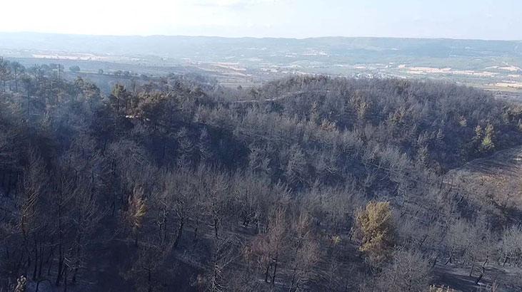 Sarıcaelide zarar gören alanlar dronla görüntülendi