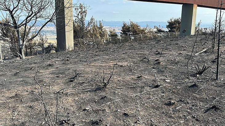 Sarıcaelide zarar gören alanlar dronla görüntülendi