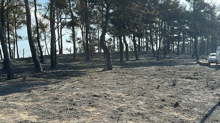 Sarıcaelide zarar gören alanlar dronla görüntülendi