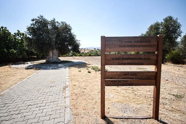1316 yıllık ihtişam: Bizim için çok kıymetli