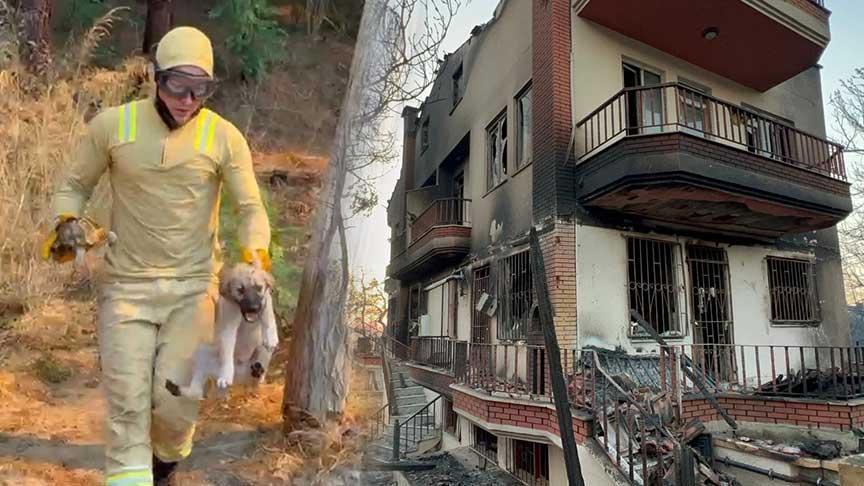 Çanakkale'de Kontrolden Çıkan Orman Yangını: 3 Köy Boşaltıldı, Yanan Villaların Şok Görüntüleri!
