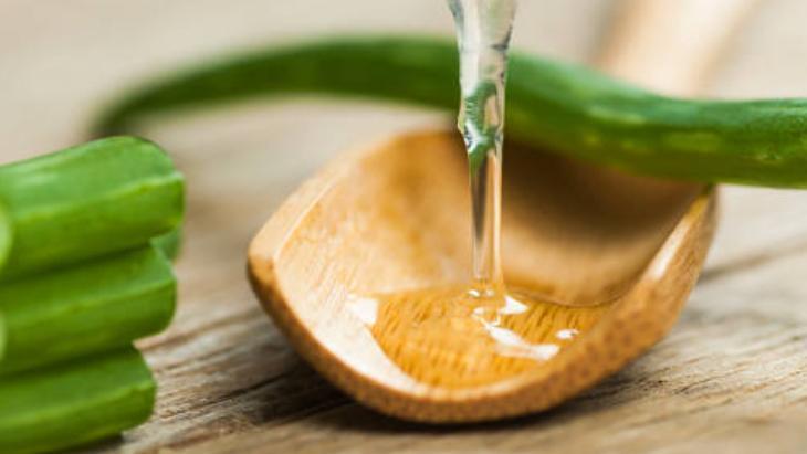 Aloe veranın tozunu sürün Suya katıp macun yapın: Zeytinyağıyla taçlandırın Aloe veranın tozunu sürün Suya katıp macun yapın: Zeytinyağıyla taçlandırın
