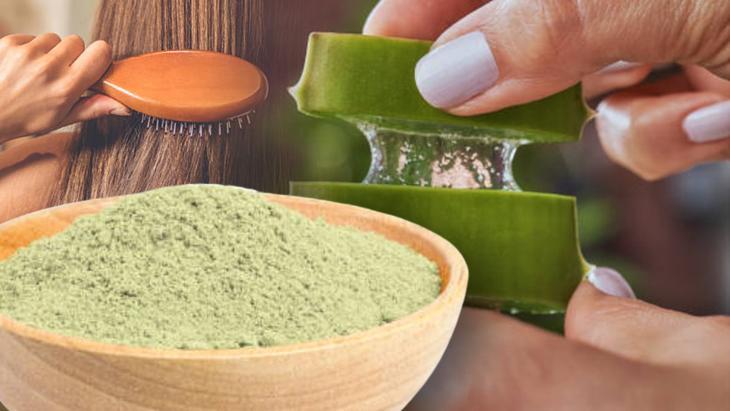 Aloe veranın tozunu sürün Suya katıp macun yapın: Zeytinyağıyla taçlandırın Aloe veranın tozunu sürün Suya katıp macun yapın: Zeytinyağıyla taçlandırın