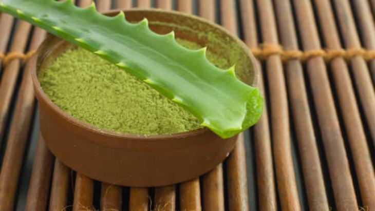 ALOE VERA YAPRAKLARININ TOZ HALİNE GETİRİLMESİ ALOE VERA YAPRAKLARININ TOZ HALİNE GETİRİLMESİ