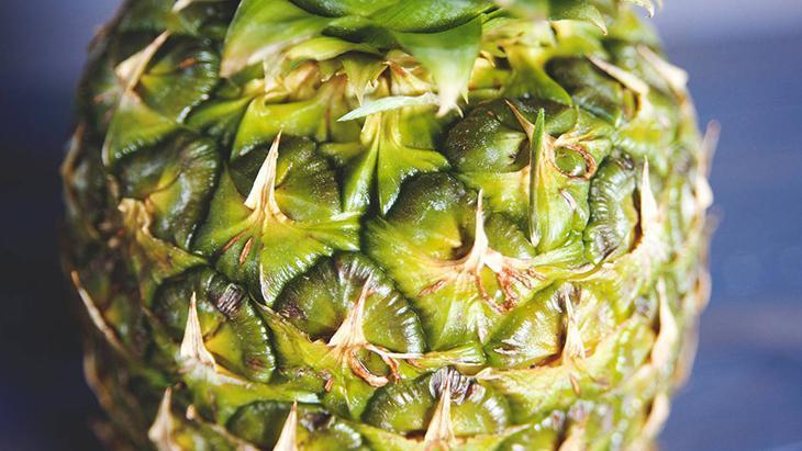 Sabah şişkinliğine veda tabağı Yiyen kuş gibi hafifliyor, karın masajı kadar etkili