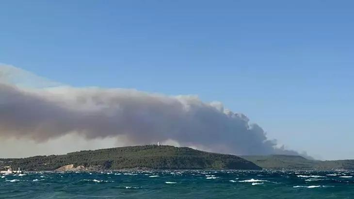 Çanakkale Gelibolu ve Kocaeli orman yangınında son durum ne Yangınlar söndürüldü mü, kontrol altına alındı mı