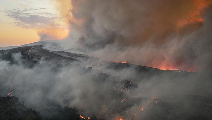 Çanakkale’de orman yangını 2. gününde: Gelibolu’dan Eceabat’a sıçradı, ekipler seferber oldu