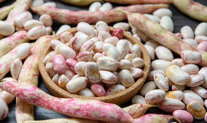 Buzluktaki tatlı sır Dondurulmuş bezelye ve barbunyanın lezzetini korumak için ipuçları