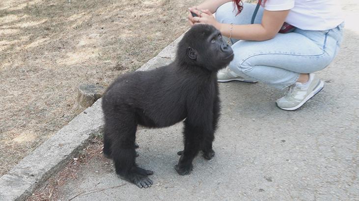 BAKICILARIMIZ SAATLERCE YANINDA DURDU BAKICILARIMIZ SAATLERCE YANINDA DURDU