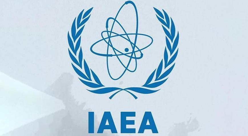 Uluslararası Atom Enerjisi Ajansı: Yasak Bölge'de birkaç dron tespit edildi