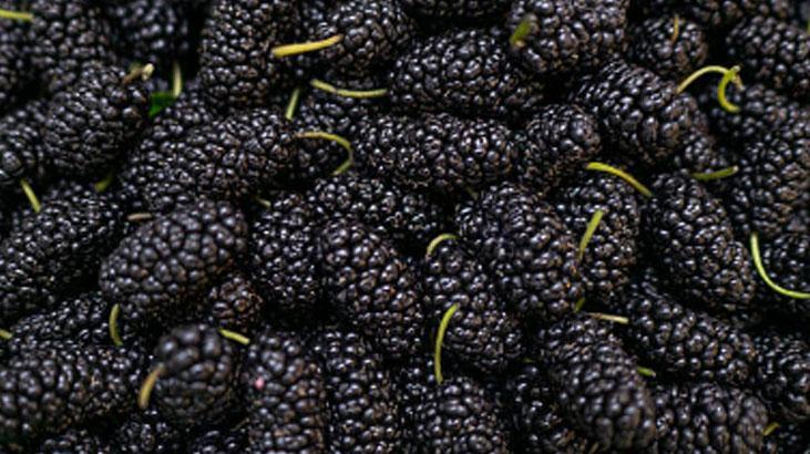 This food, which fills your iron stores and overflows, competes with 10 boxes of molasses. Consume it with yoghurt.