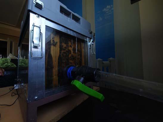 15. katta evine kurduğu düzenek şaşkına çevirdi: Görenler hayalim diyor