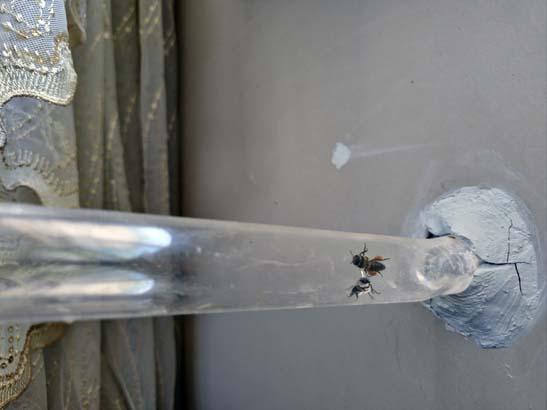 15. katta evine kurduğu düzenek şaşkına çevirdi: Görenler hayalim diyor