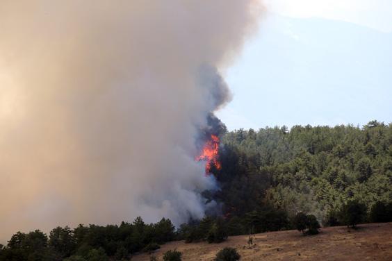 Kastamonu’da bir noktada daha orman yangını çıktı Ekiplerin havadan ve karadan müdahalesi sürüyor