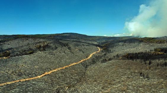 Kastamonu’da bir noktada daha orman yangını çıktı Ekiplerin havadan ve karadan müdahalesi sürüyor