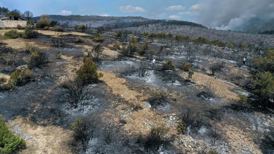 Kastamonu’da bir noktada daha orman yangını çıktı Ekiplerin havadan ve karadan müdahalesi sürüyor