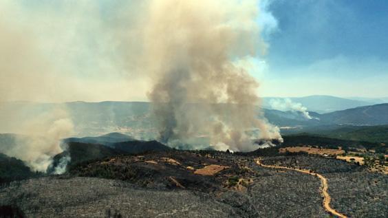 Kastamonu’da bir noktada daha orman yangını çıktı Ekiplerin havadan ve karadan müdahalesi sürüyor