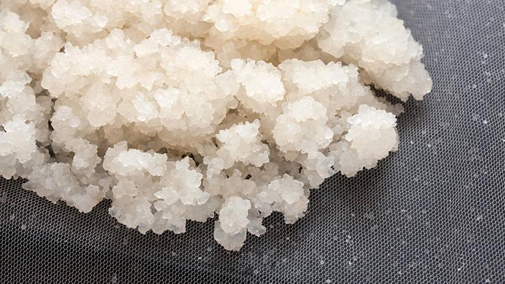 Kefir sudan da yapılır Süt içemeyenlere en iyi alternatif, 1 günde şipşak probiyotik Kefir sudan da yapılır Süt içemeyenlere en iyi alternatif, 1 günde şipşak probiyotik