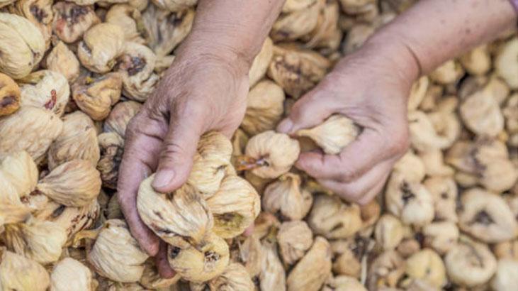 Suyu kendinden daha faydalı Zeytinyağının içine doldurun, hastalık kapınızı çalmasın Suyu kendinden daha faydalı Zeytinyağının içine doldurun, hastalık kapınızı çalmasın