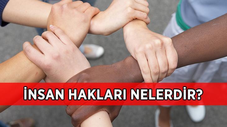 İnsan Hakları Nelerdir? Madde Madde İnsan Hakları Evrensel Beyannamesi Nelerdir?