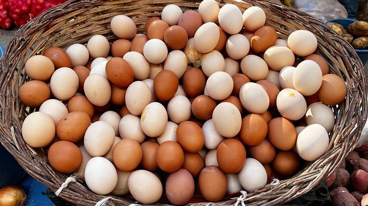 Marketten gelir gelmez dolaba Marketten gelir gelmez dolaba