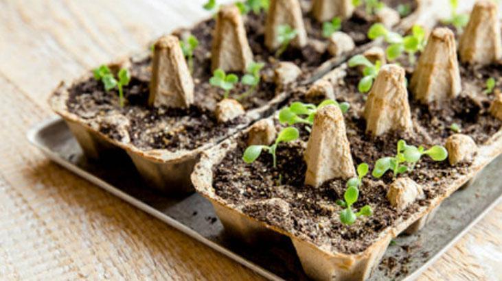 Sadece yumurtaya değil, tüm eve faydalı O kartonu atmadan önce bir kez daha düşünün