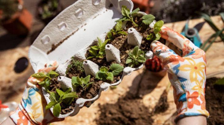 Sadece yumurtaya değil, tüm eve faydalı O kartonu atmadan önce bir kez daha düşünün