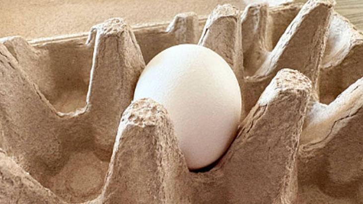 Sadece yumurtaya değil, tüm eve faydalı O kartonu atmadan önce bir kez daha düşünün