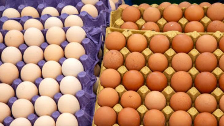 Sadece yumurtaya değil, tüm eve faydalı O kartonu atmadan önce bir kez daha düşünün