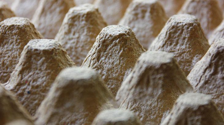 Sadece yumurtaya değil, tüm eve faydalı O kartonu atmadan önce bir kez daha düşünün