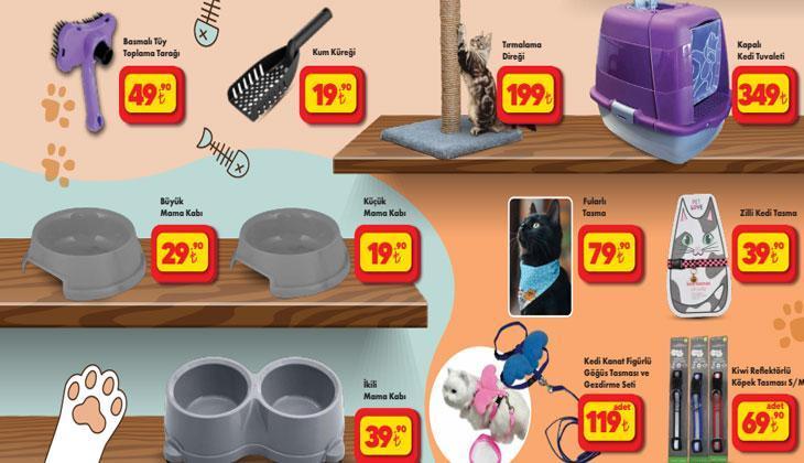 ŞOK HAFTANIN FIRSATLARI SATIŞTA 🚩 ŞOK 24 Eylül aktüel ürünler kataloğunda neler var Çay Makinesi, Kahve Makinesi, Kahve Makinesi, Tost Makinesi, Battaniye, Yorgan... ŞOK HAFTANIN FIRSATLARI SATIŞTA 🚩 ŞOK 24 Eylül aktüel ürünler kataloğunda neler var Çay Makinesi, Kahve Makinesi, Kahve Makinesi, Tost Makinesi, Battaniye, Yorgan...